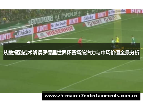 从数据到战术解读罗德里世界杯赛场统治力与中场价值全景分析