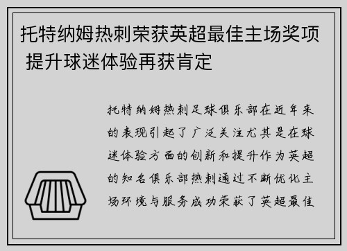 托特纳姆热刺荣获英超最佳主场奖项 提升球迷体验再获肯定
