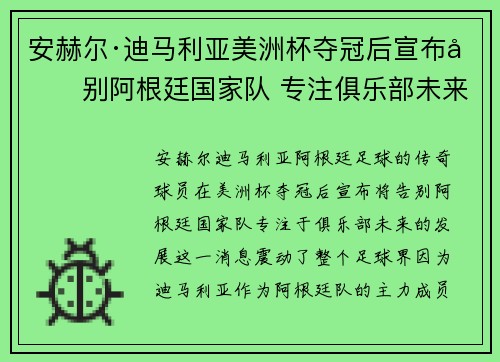 安赫尔·迪马利亚美洲杯夺冠后宣布告别阿根廷国家队 专注俱乐部未来 安赫尔·迪马利亚美洲杯夺冠后宣布告别阿根廷国家队 专注俱乐部未来